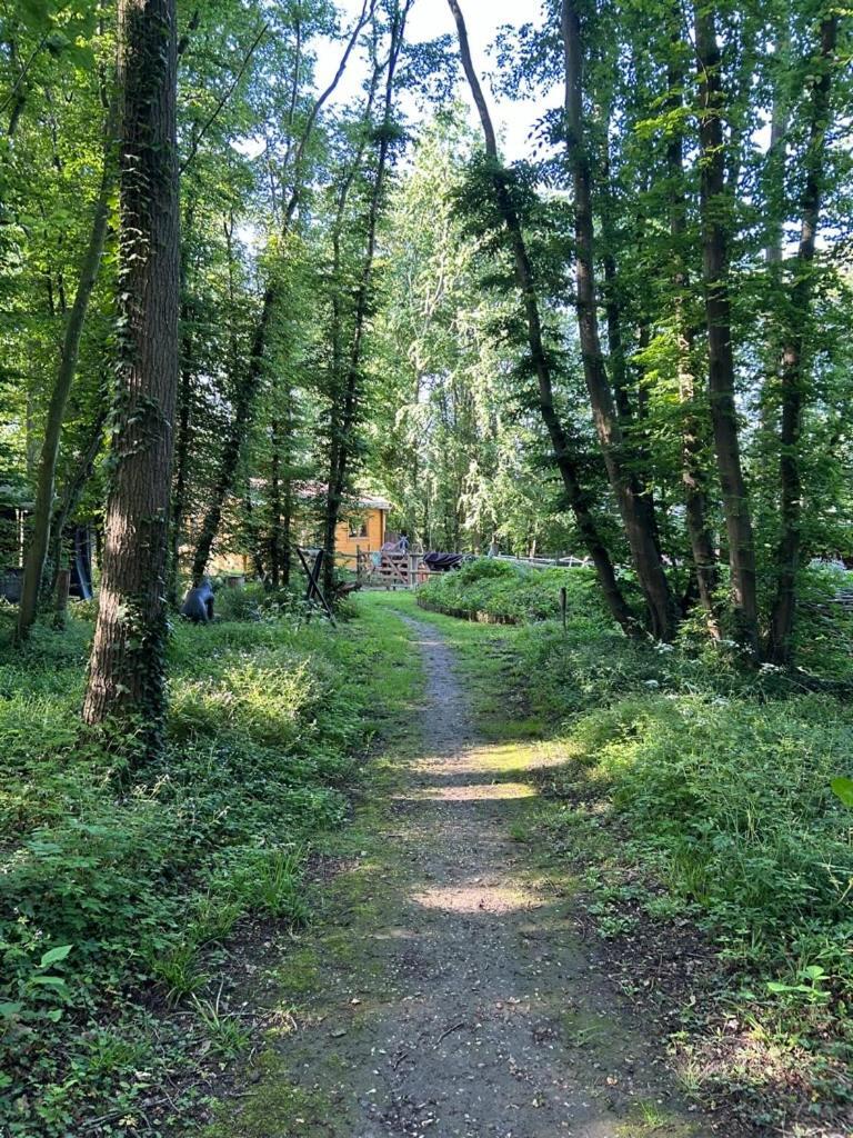 Gites Du Bois Des Perruches Saint-Vincent-des-Bois Экстерьер фото